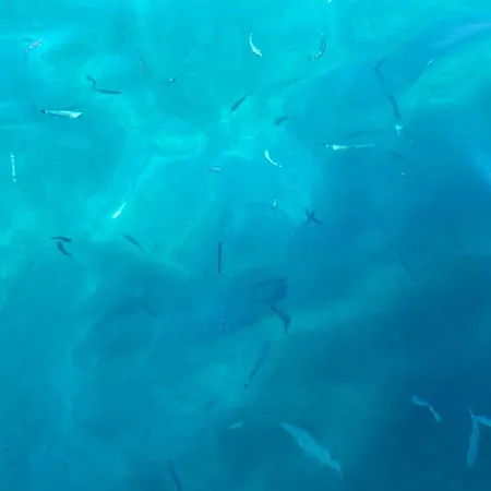 Profumo Di Mare Dom wakacyjny *