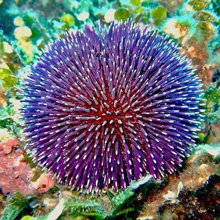 Profumo Di Mare Dom wakacyjny
