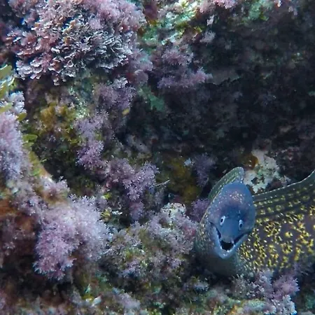 Profumo Di Mare Dom wakacyjny Magomadas